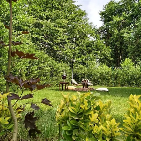 Natura Zambak *