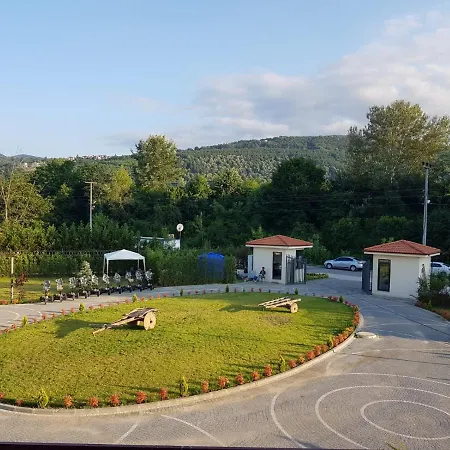Natura Zambak *