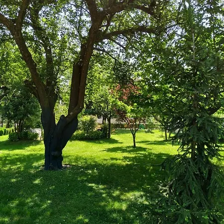 Natura Zambak Villa *